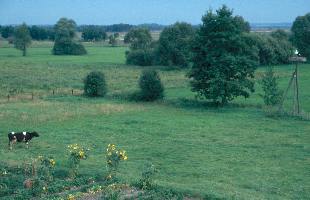 Fledermausreviere: strukturreiche Landschaften ...