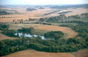 ... mit B&auml;umen und Hecken - und Weiher