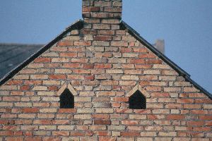 L&ouml;cher in gemauertem Kuhststall