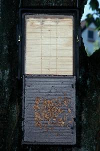 Schwegler-Art 1FF (offen)