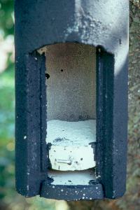 Schwegler-Art. 2FN (offen)