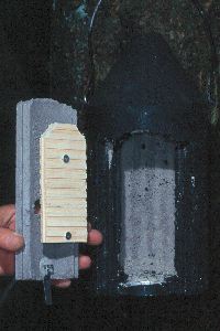 Schwegler-Art. 2F (offene T&uuml;r)