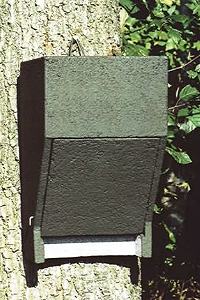 Hasselfeldt-Art. FGRH