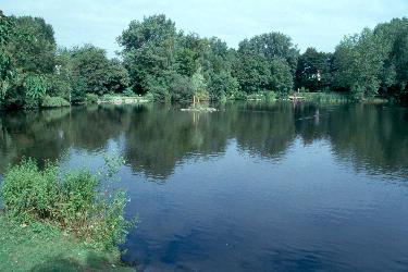 Fledermausrevier Parkteich