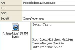 "The Bat!": Editor: Dateianlage "The Bat!": Editor: Dateianlage